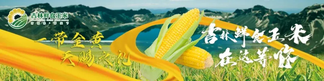 春耕化肥市场观察:“稳”与“忧”之间的价格博弈