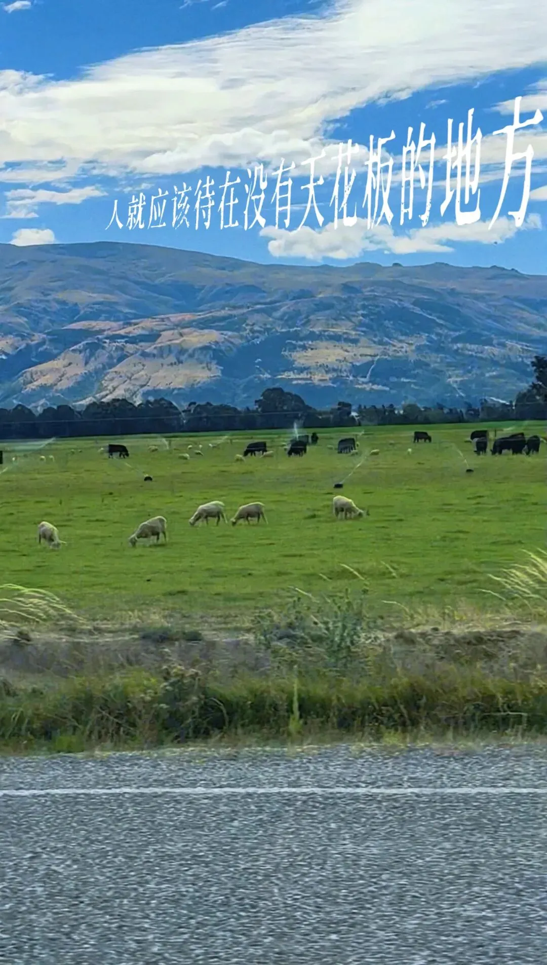 全球乳制品市场动态:供需分析报告