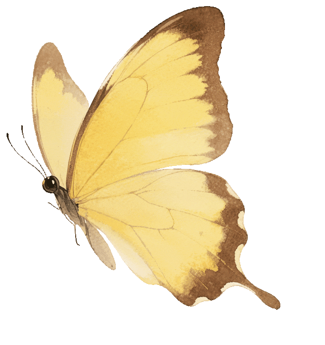 融合发力|百大双节营销燃动春日