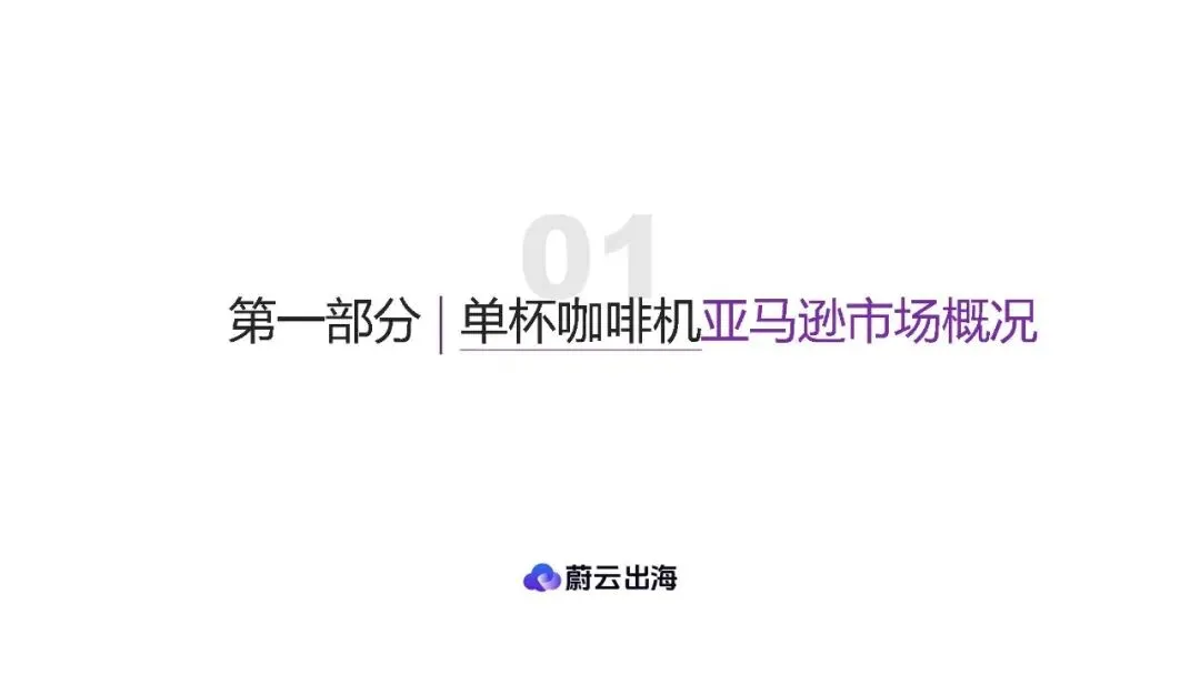 数据驱动的跨境电商品牌化转型市场指南:「单杯咖啡机美国市场」研究报告