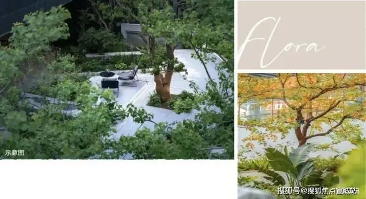 绿城沁香园(营销中心)官方网站-上海绿城沁香园销售中心(售楼处)-2026绿城沁香园欢迎您-地址-价格-户型-小区环境-楼盘详情