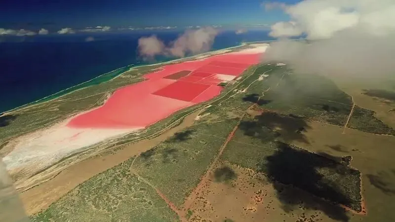 价值营销VS产品营销,谁更容易收获消费者好感?