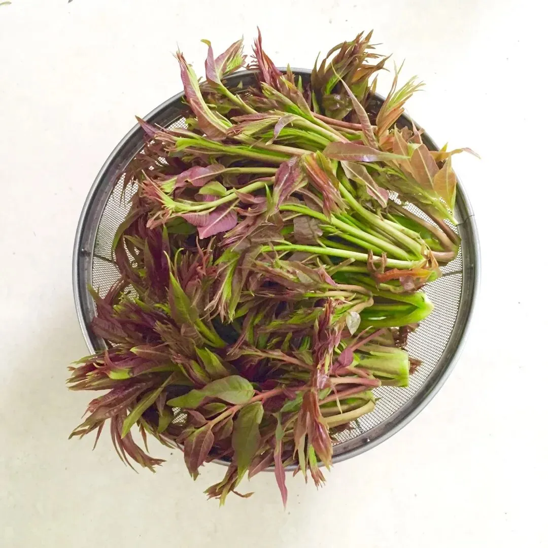 春分寻鲜|农贸市场藏着整个春天的嫩意,一口解锁时令本味