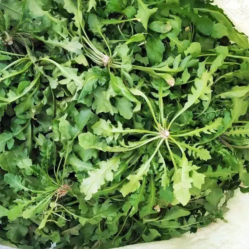 春分寻鲜|农贸市场藏着整个春天的嫩意,一口解锁时令本味