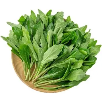 春分寻鲜|农贸市场藏着整个春天的嫩意,一口解锁时令本味