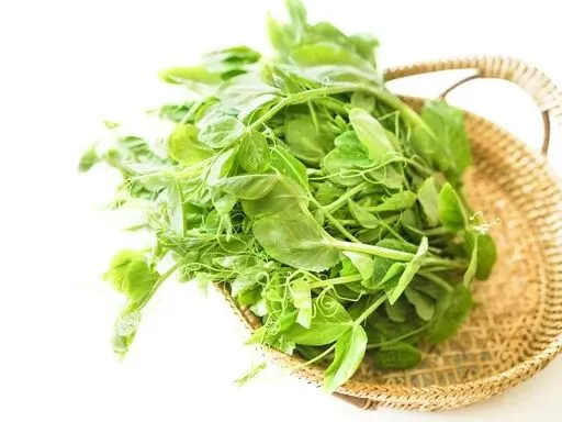 春分寻鲜|农贸市场藏着整个春天的嫩意,一口解锁时令本味