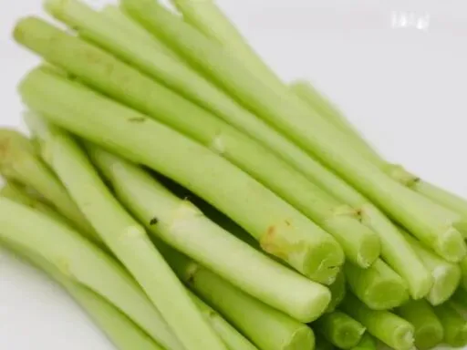 春分寻鲜|农贸市场藏着整个春天的嫩意,一口解锁时令本味