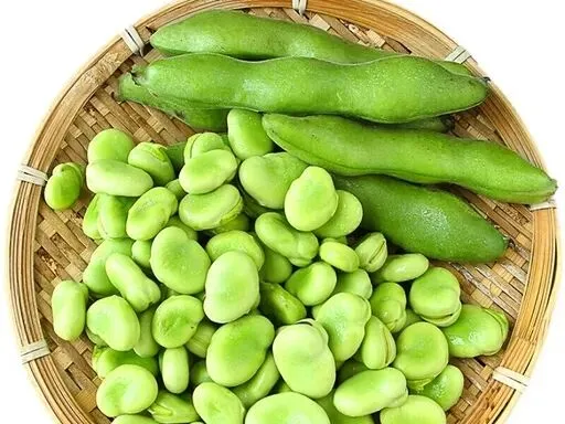 春分寻鲜|农贸市场藏着整个春天的嫩意,一口解锁时令本味