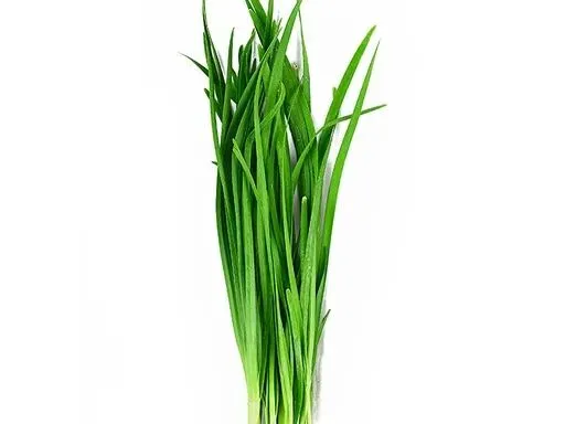 春分寻鲜|农贸市场藏着整个春天的嫩意,一口解锁时令本味