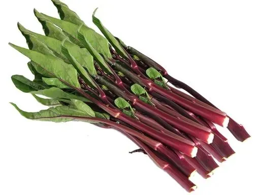 春分寻鲜|农贸市场藏着整个春天的嫩意,一口解锁时令本味