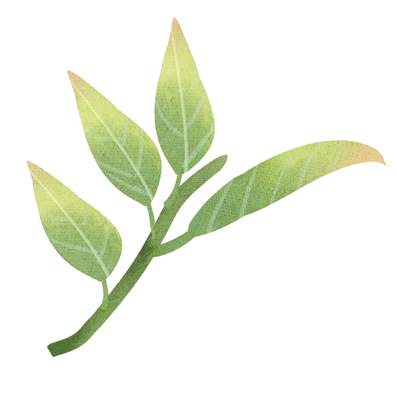 【举“柿”无双】清明将至,大通农批市场|明前茶礼启新程,不负春味不负情