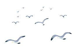 【举“柿”无双】清明将至,大通农批市场|明前茶礼启新程,不负春味不负情