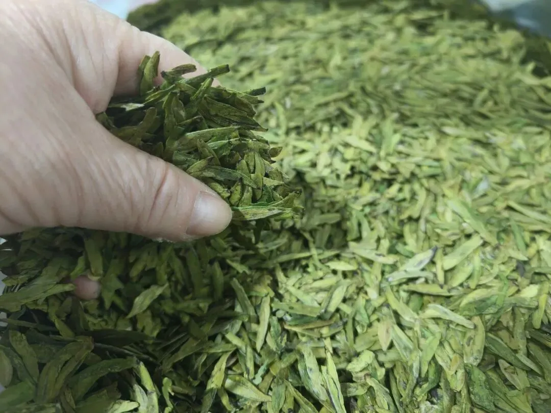 【举“柿”无双】清明将至,大通农批市场|明前茶礼启新程,不负春味不负情