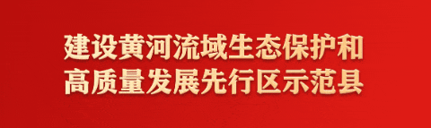 汽车圈迎来新车发布潮 贺兰县汽车消费市场增添新动力