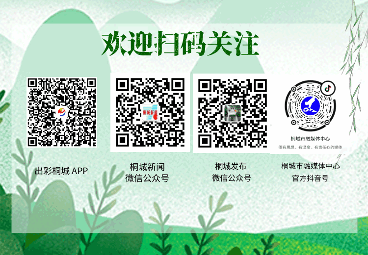 成交额1.3亿元!桐城土地市场交易实现“开门红”