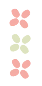 IT青年行 | 计算机科学与技术学院2026年 寒假社会实践答辩会顺利举行