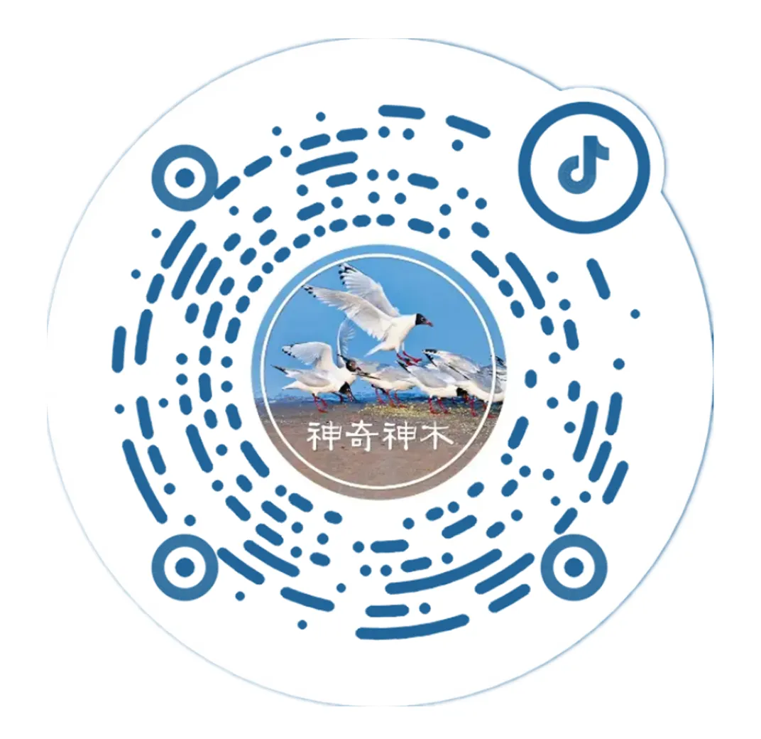 神木市文化市场综合执法大队开展春季文化艺术类校外培训机构专项检查