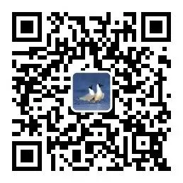 神木市文化市场综合执法大队开展春季文化艺术类校外培训机构专项检查