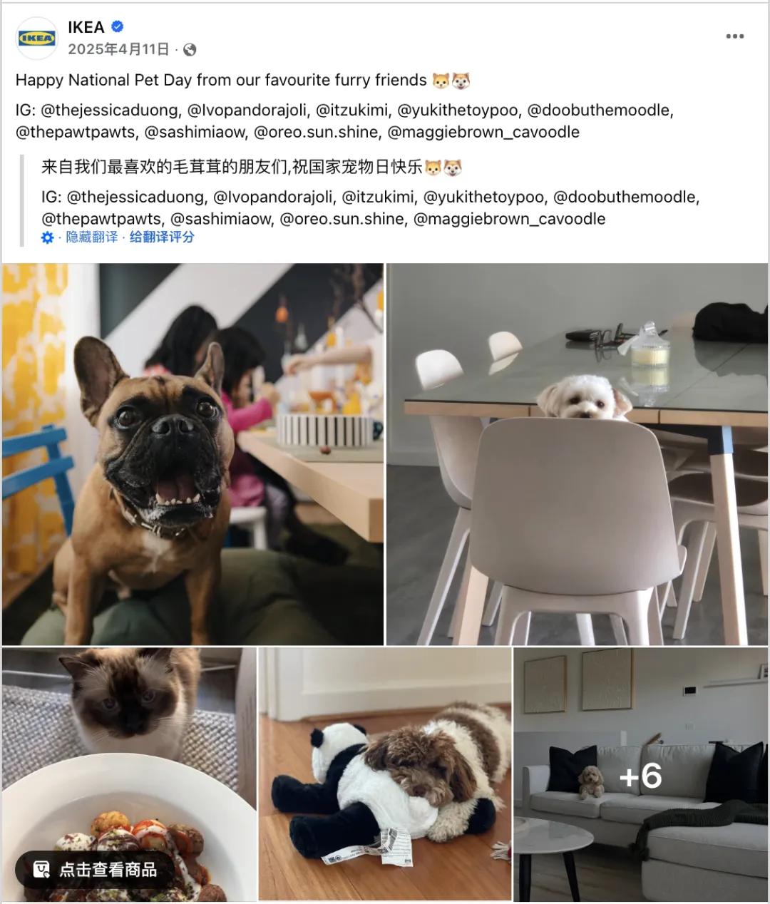 4月海外营销日历:复活节,世界创意和创新日,全国宠物日,世界地球日,联合国中文日…