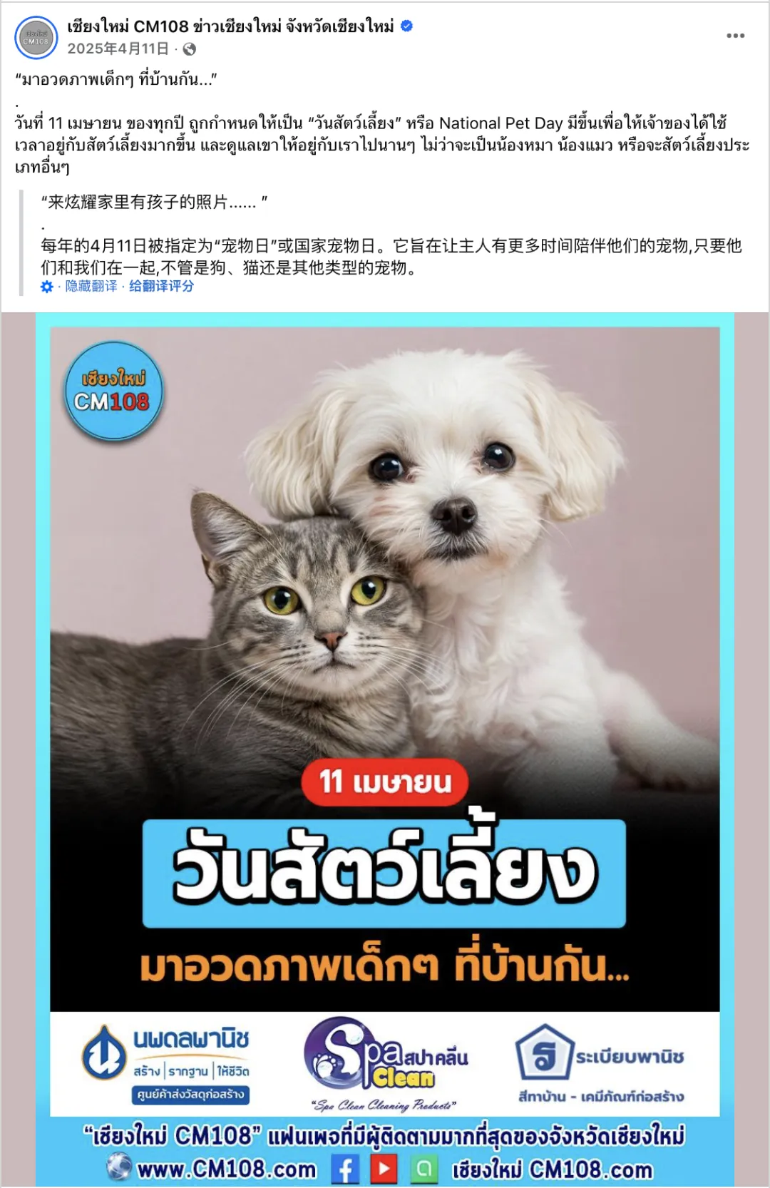 4月海外营销日历:复活节,世界创意和创新日,全国宠物日,世界地球日,联合国中文日…