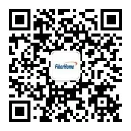 深耕南欧市场,聚力国际化征程