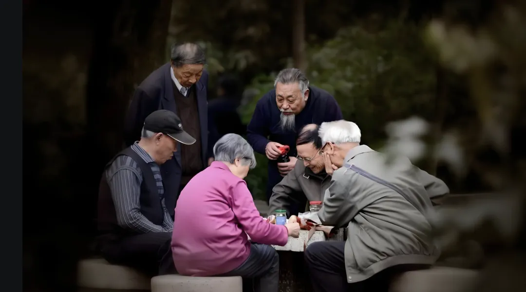 老,无所“依”|2025年度养老市场研究报告