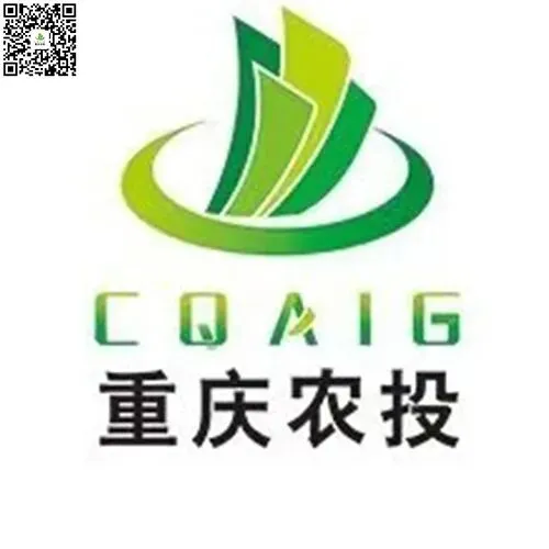 招聘丨关于延长重庆艺术大市场有限公司社会招聘报名时间的公告