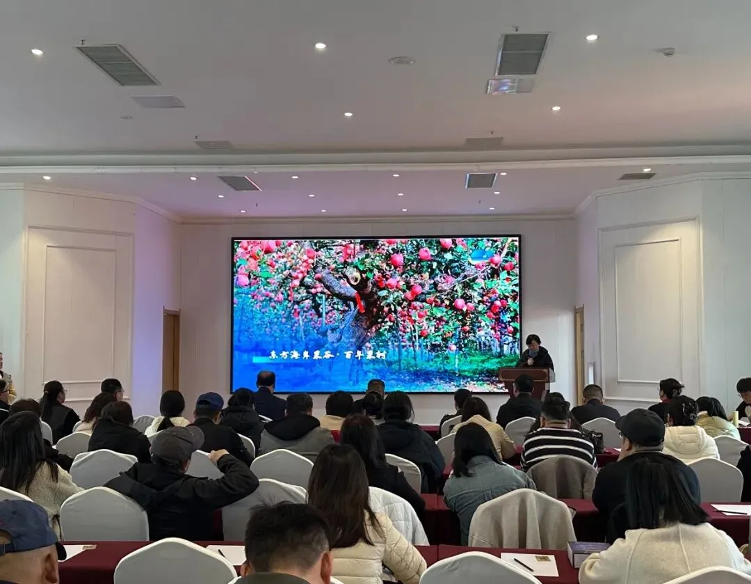 喜迎市场开门红|“仙境蓬莱・遇见中原”旅游推介周圆满落幕