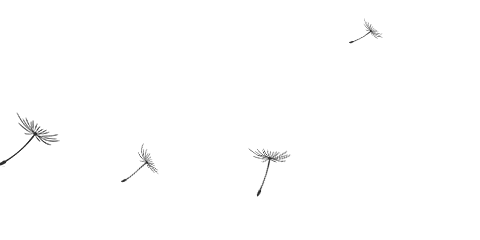 近日市场动态分析与小结