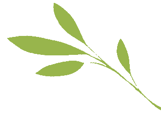 村里来了个年轻人——吉安市市场监管局青年驻村手记