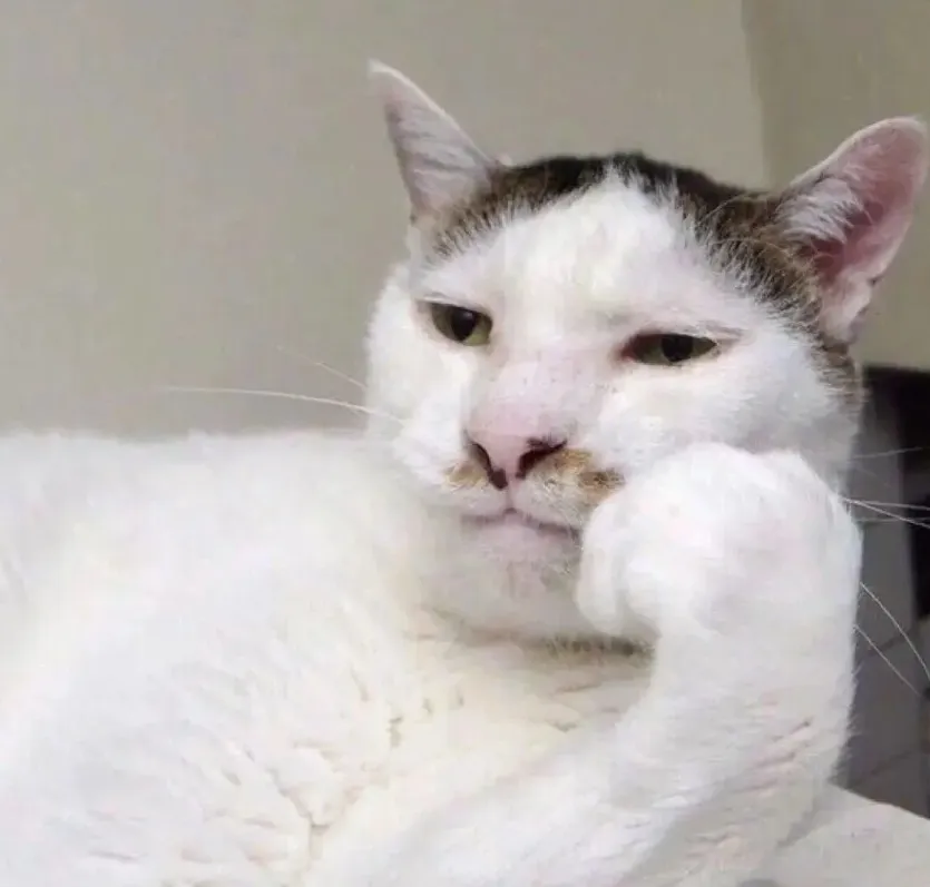 未来的教辅市场,IP带货,是个好路子~