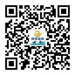 陕西公司召开2026年创值营销启动暨政企三开营销部署会