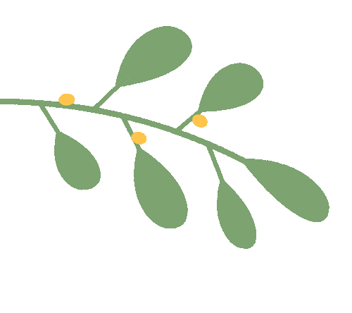 【新禾建功·营销尖兵】——黄龙联社客户经理侯志杰的“新禾”奋斗路