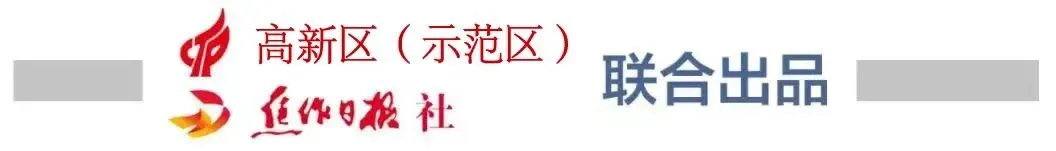 拥抱大市场,服务大循环!高新区“四个加力”扩需求推增长