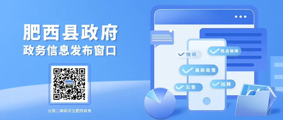 肥西县市场监管工作入选省级案例