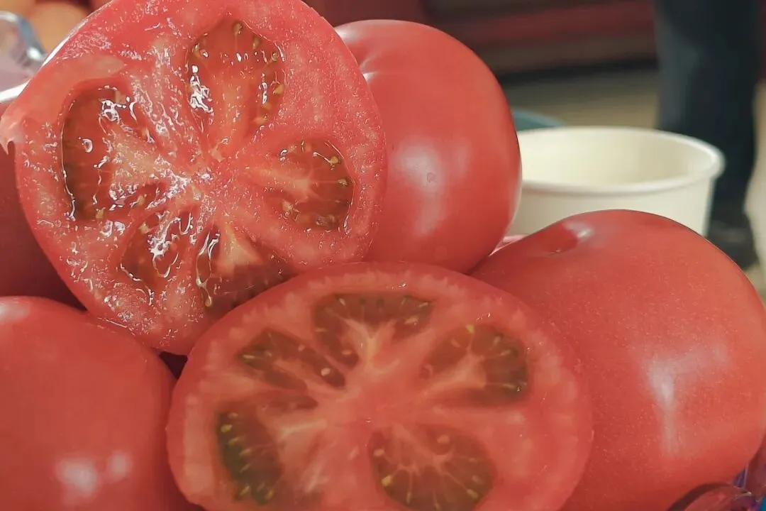 上蔬有好味|江桥市场春菜鲜蔬齐上市