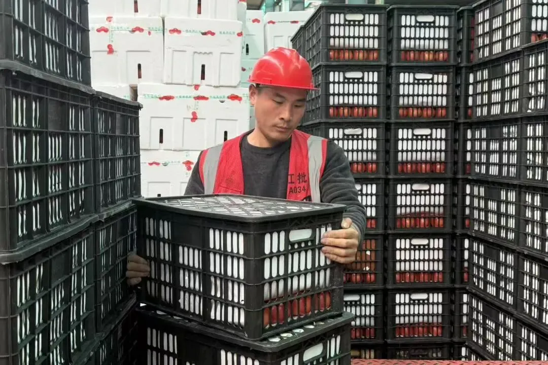 上蔬有好味|江桥市场春菜鲜蔬齐上市