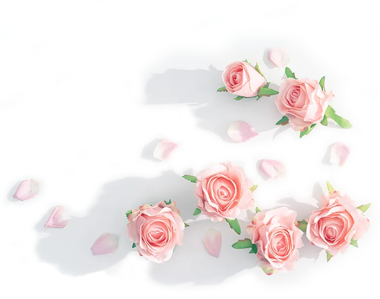 【致敬“她”力量】李沙:绽放在市场监管战线的“铿锵玫瑰”