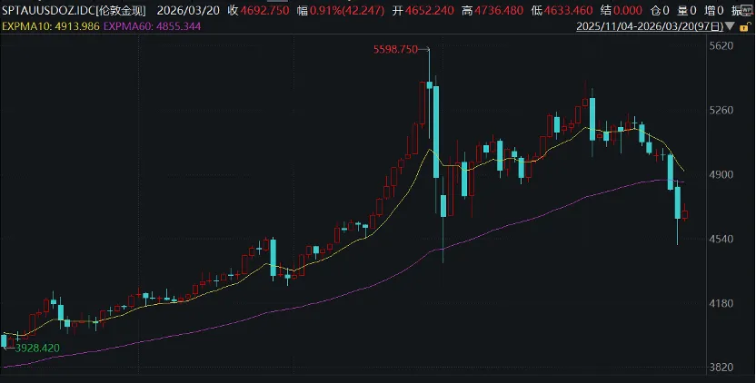 全球市场波动,未来方向在哪?