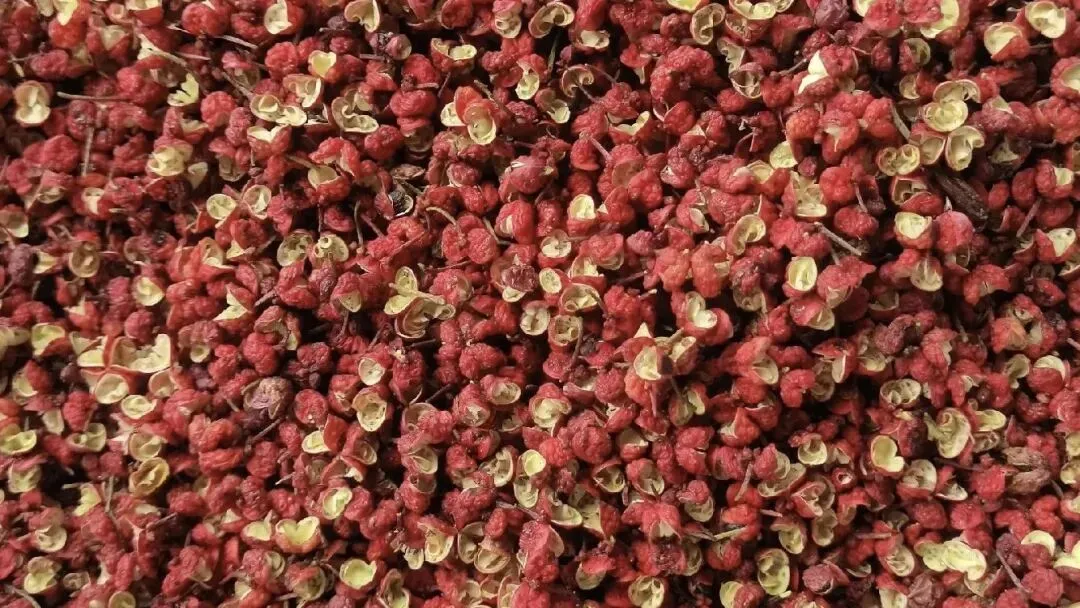 今日药材市场两大“跳水”品种曝光!农户必看,别让辛苦钱打水漂