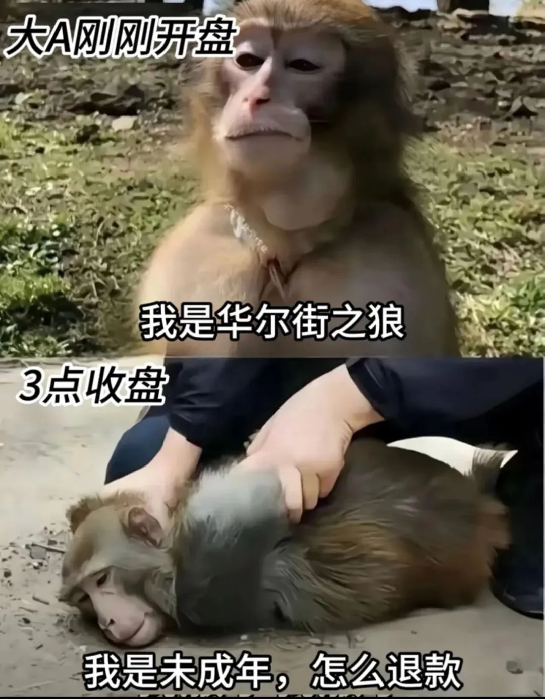 3.20 市场复盘:又来?黑色星期五