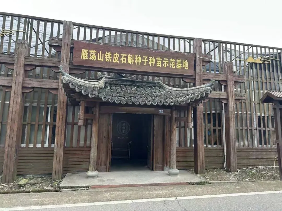 探访百年匠心,解码营销智慧 | 市场营销专业师生赴乐清铁枫堂调研纪实