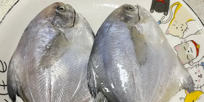 市场上这4种鱼,无法人工养殖,鲜美营养又便宜,识货的抢着买!