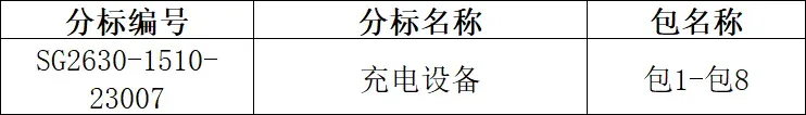 电能表222包!国家电网2026年营销项目第一次计量设备、充换电设备公开招标采购招标公告