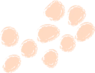 计算机与信息技术学院分工会组织开展“三八”国际妇女节活动