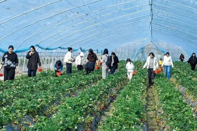 计算机与信息技术学院分工会组织开展“三八”国际妇女节活动