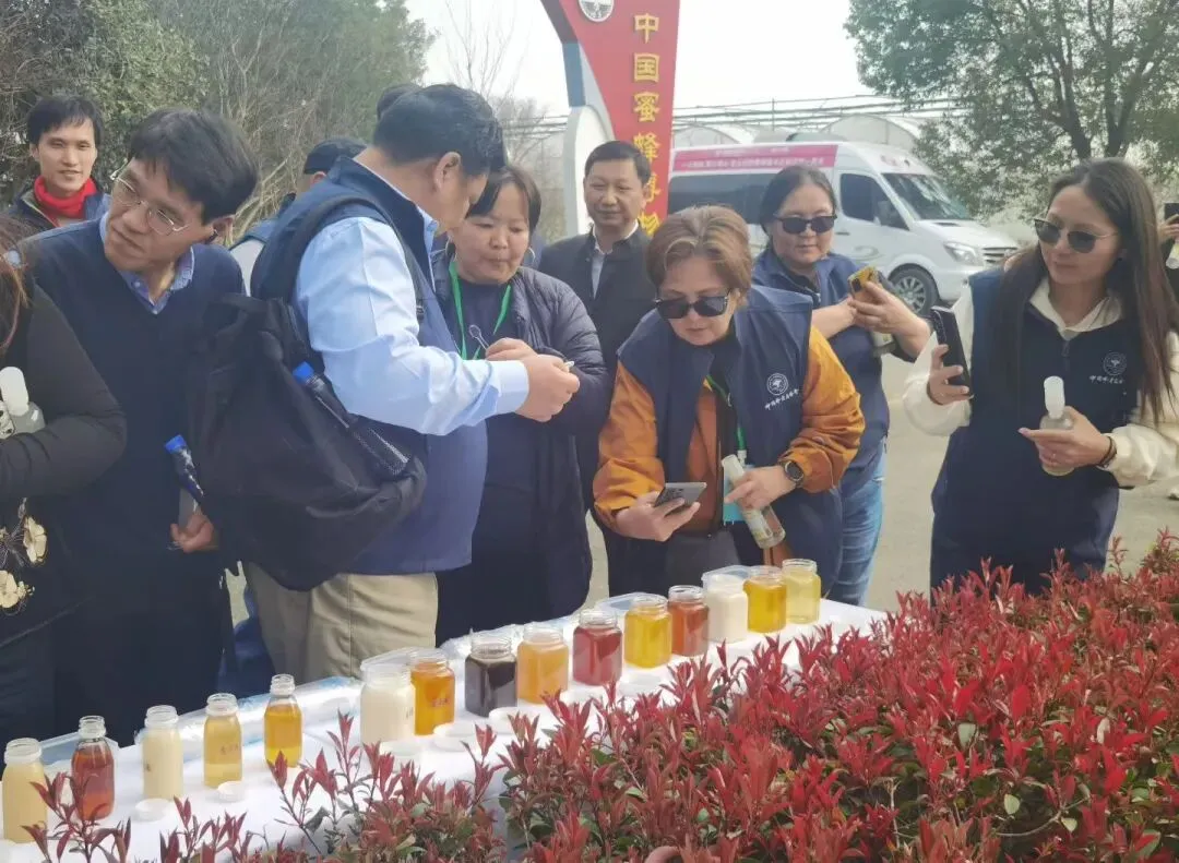 ＂2026全国蜂产品市场信息交流大会＂圆满闭幕