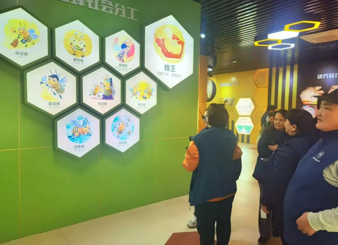 ＂2026全国蜂产品市场信息交流大会＂圆满闭幕