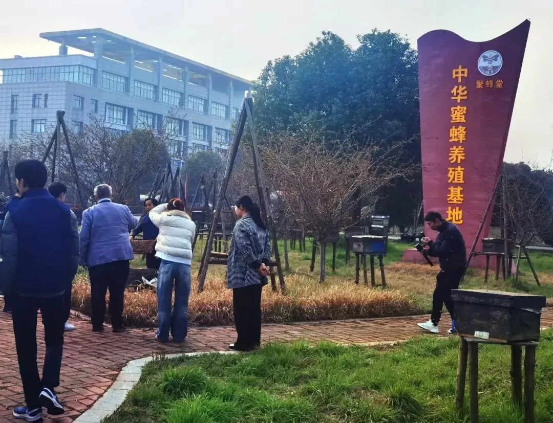 ＂2026全国蜂产品市场信息交流大会＂圆满闭幕