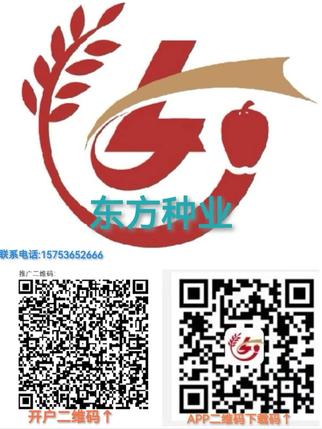 2026年3月21号昌邑生姜市场较昨天圆头姜上货总量基本持平,下货正常,对比昨日价格以稳为主!